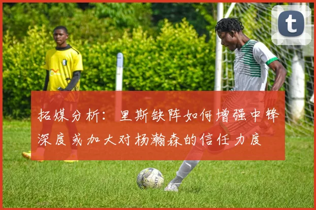 拓媒分析：里斯缺阵如何增强中锋深度或加大对杨瀚森的信任力度