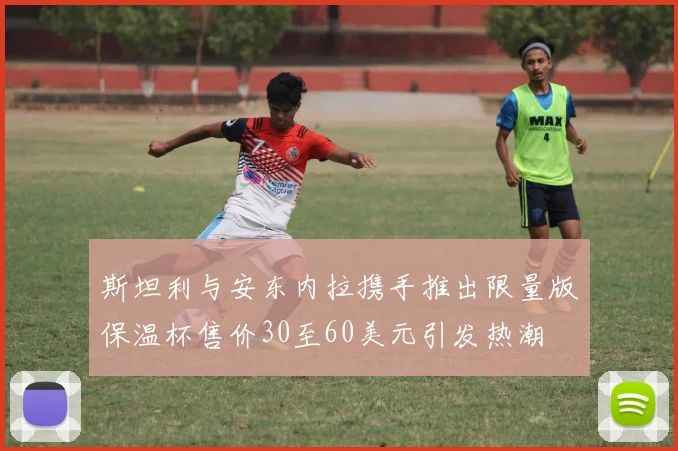 斯坦利与安东内拉携手推出限量版保温杯售价30至60美元引发热潮