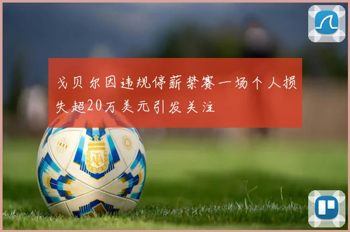 戈贝尔因违规停薪禁赛一场个人损失超20万美元引发关注