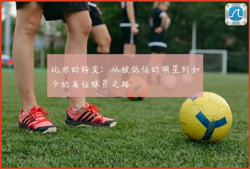 比尔的转变：从被低估的明星到如今的高估球员之路