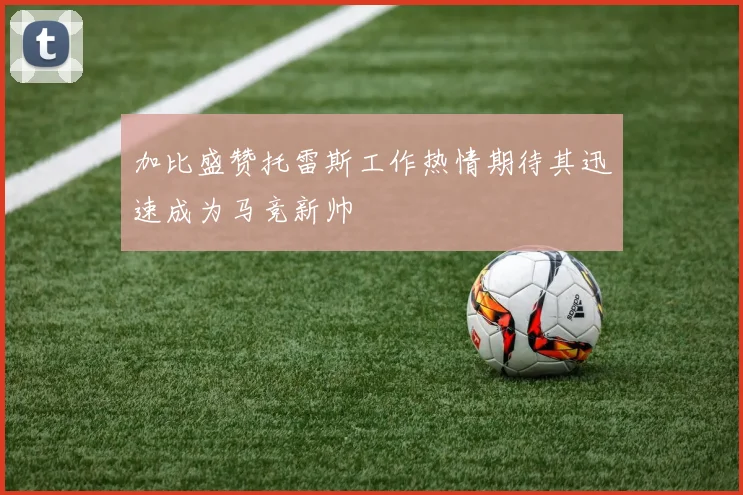 加比盛赞托雷斯工作热情期待其迅速成为马竞新帅