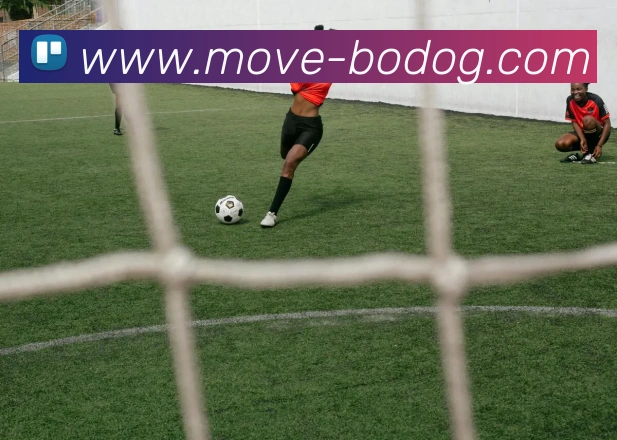 博狗娱乐发展历程